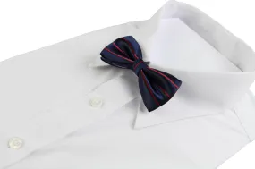 Boys Navy With Red Stripes Patterned Bow Tie